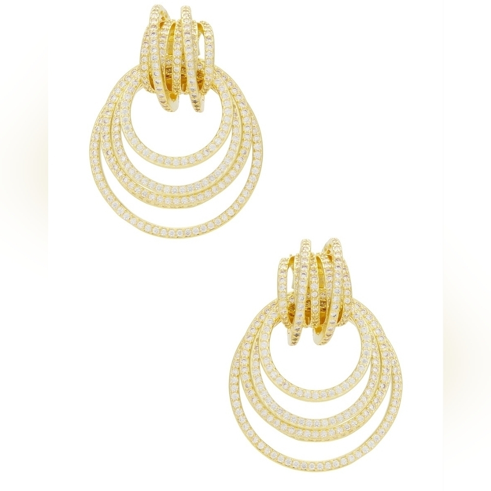 Nwt Emmy Hoop Dangling Earring